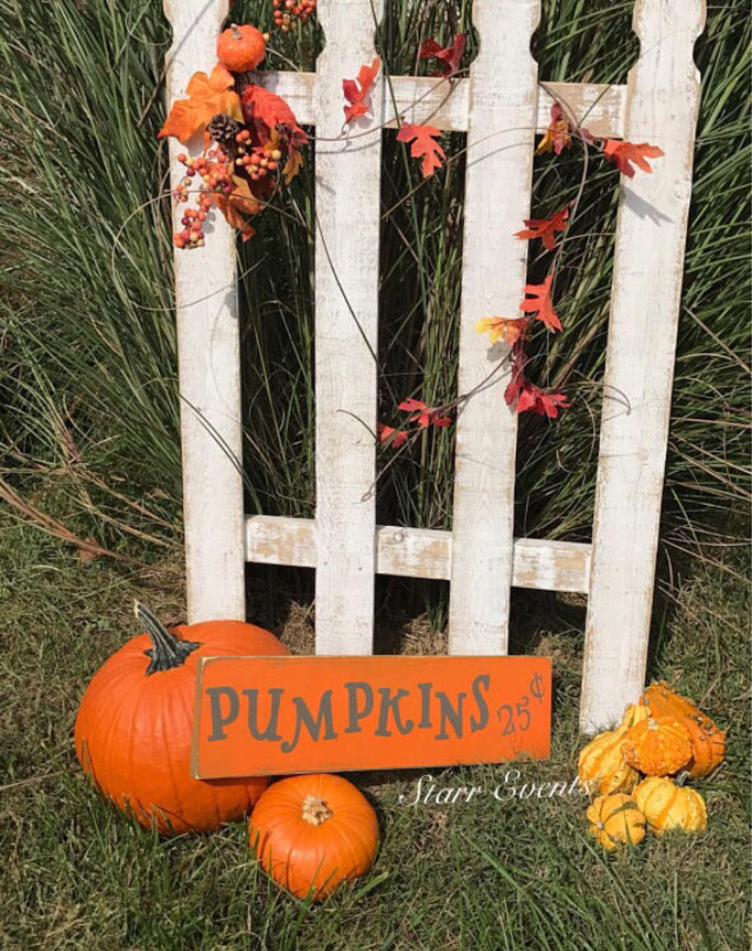 Fall decor. Rustic Fall signs. Pumpkins sign. Fall decorations. Thanksgiving decorations. Porch signs. Fall porch signs. Autumn decor.